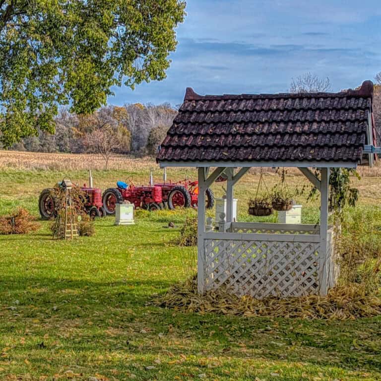 Old red tractors on display in a scenic outdoor setting at Lake Geneva.