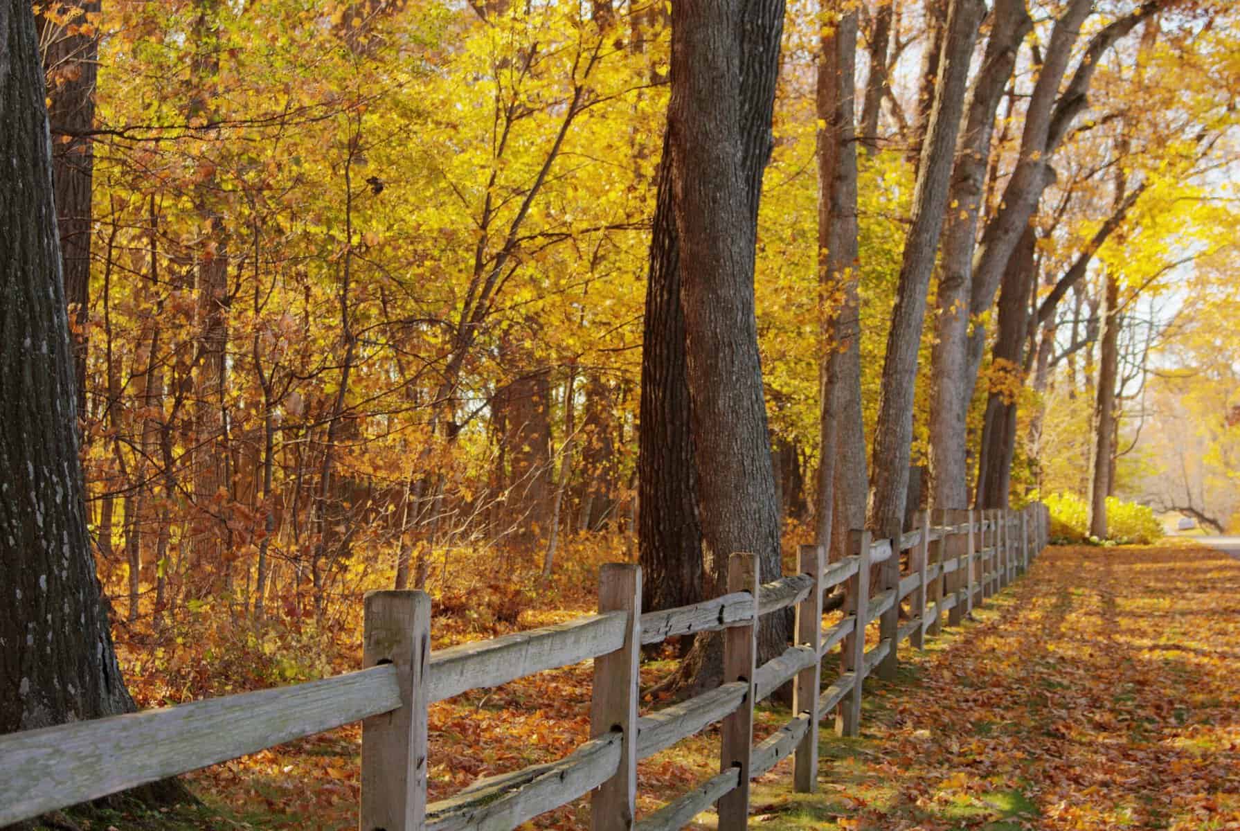 Autumn trees and a wooden fence on a scenic fall drive at Lake Geneva.